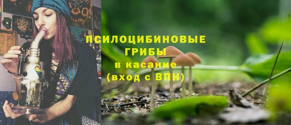 гашик Верхний Тагил